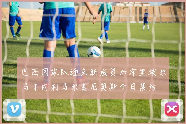 巴西国家队迎来新成员加布里埃尔马丁内利马尔基尼奥斯今日集结